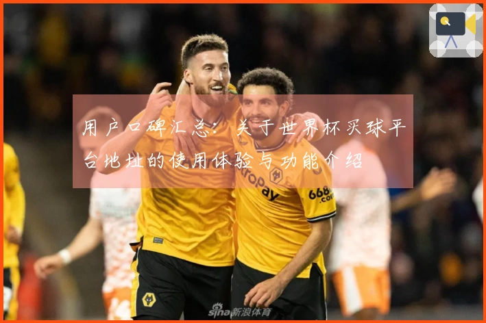 用户口碑汇总：关于世界杯买球平台地址的使用体验与功能介绍