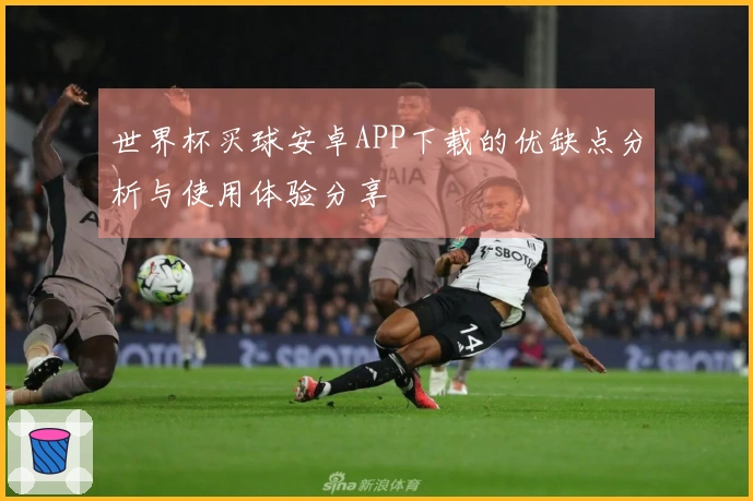 世界杯买球安卓APP下载的优缺点分析与使用体验分享