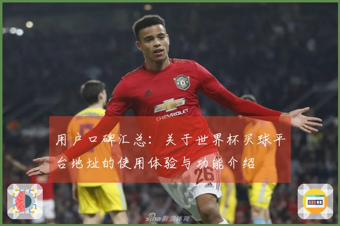 用户口碑汇总：关于世界杯买球平台地址的使用体验与功能介绍