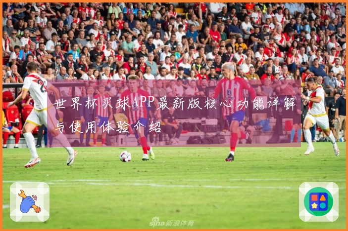 世界杯买球APP最新版核心功能详解与使用体验介绍