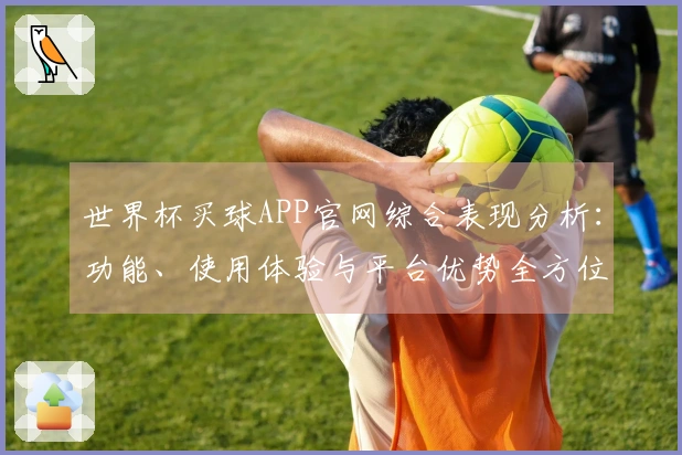 世界杯买球APP官网综合表现分析：功能、使用体验与平台优势全方位评测