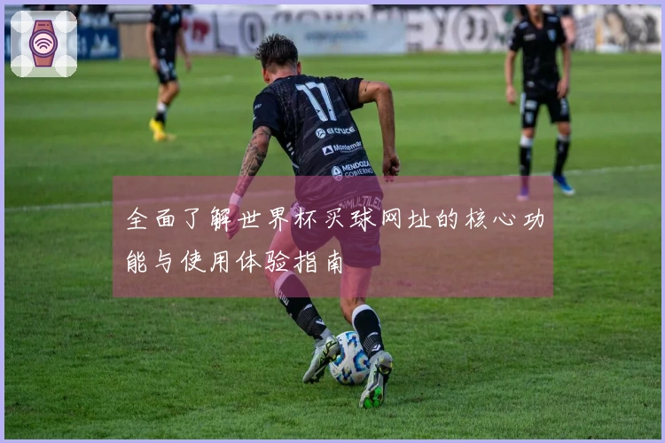全面了解世界杯买球网址的核心功能与使用体验指南