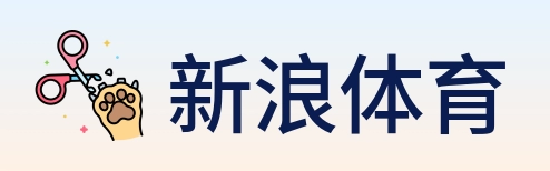新浪体育 Logo